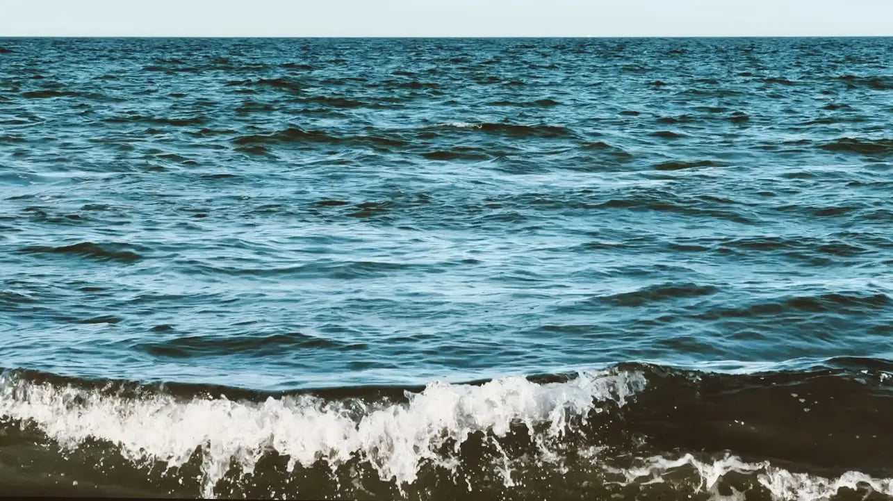 Jak pachnie plaża? Sensoryczny przewodnik po zapachach lata.