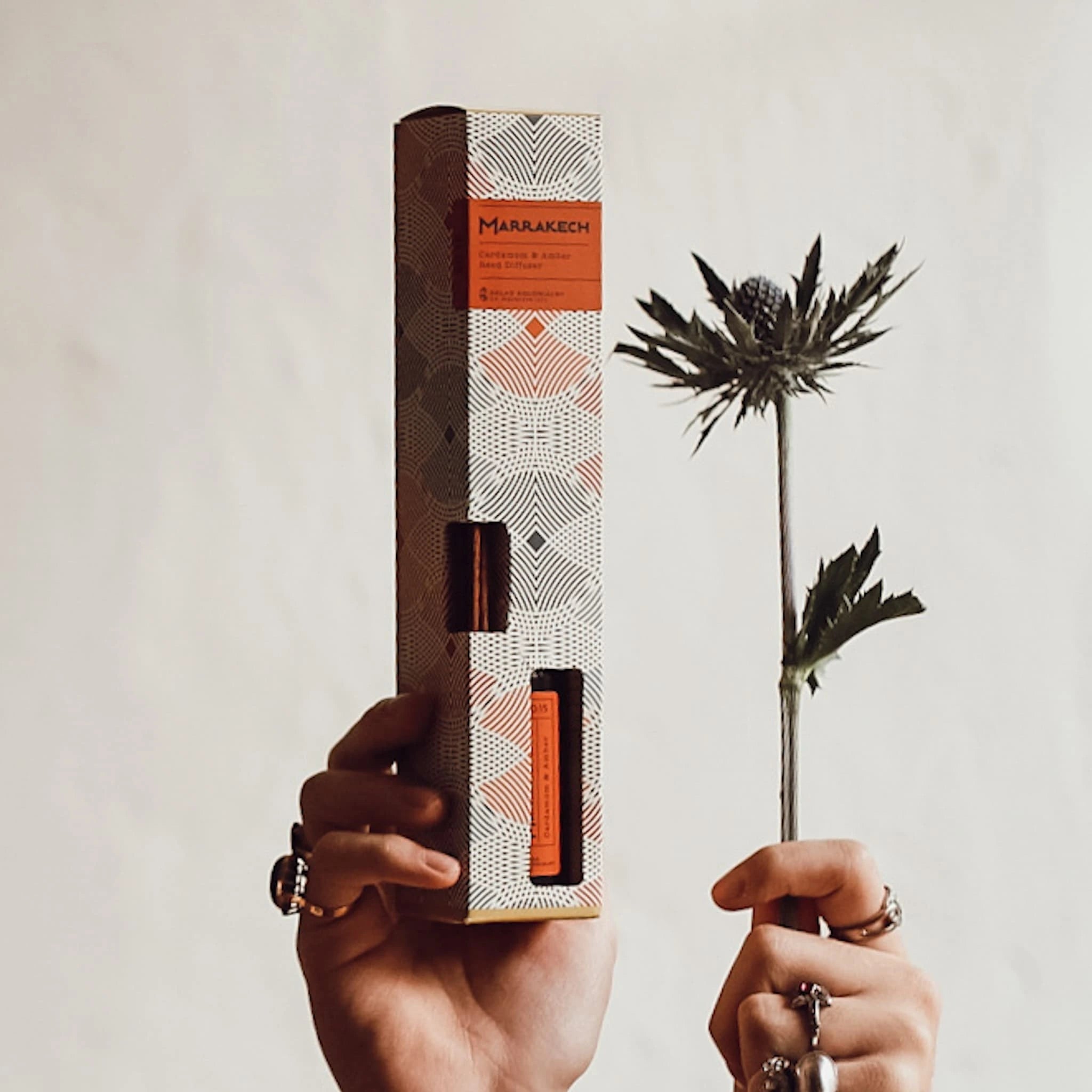 MARRAKECH 20:15 Cardamom & Amber Naturalny Dyfuzor Rattanowy - Kolekcja Travels roslina