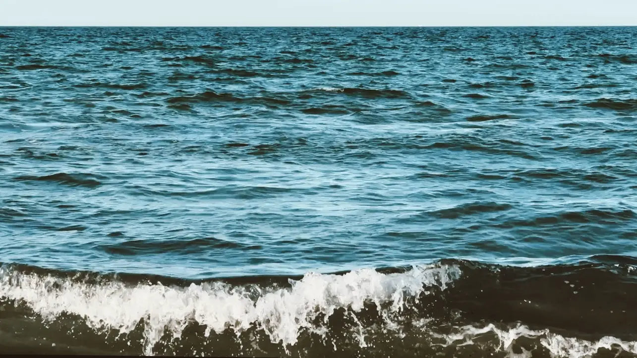 Jak pachnie plaża? Sensoryczny przewodnik po zapachach lata.