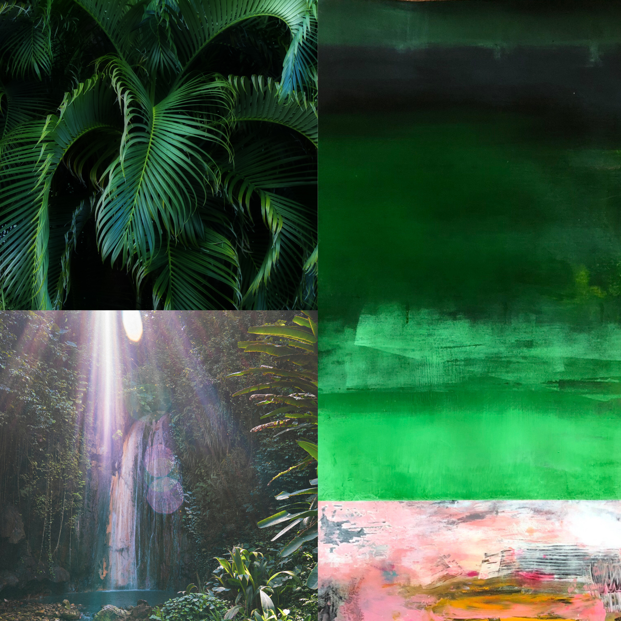La Forêt Mystérieuse - CHANG
